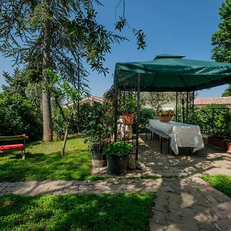 Lignanello Pienza