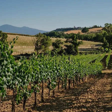 Lignanello